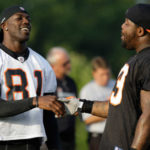 Terrell Owens, Tank Johnson